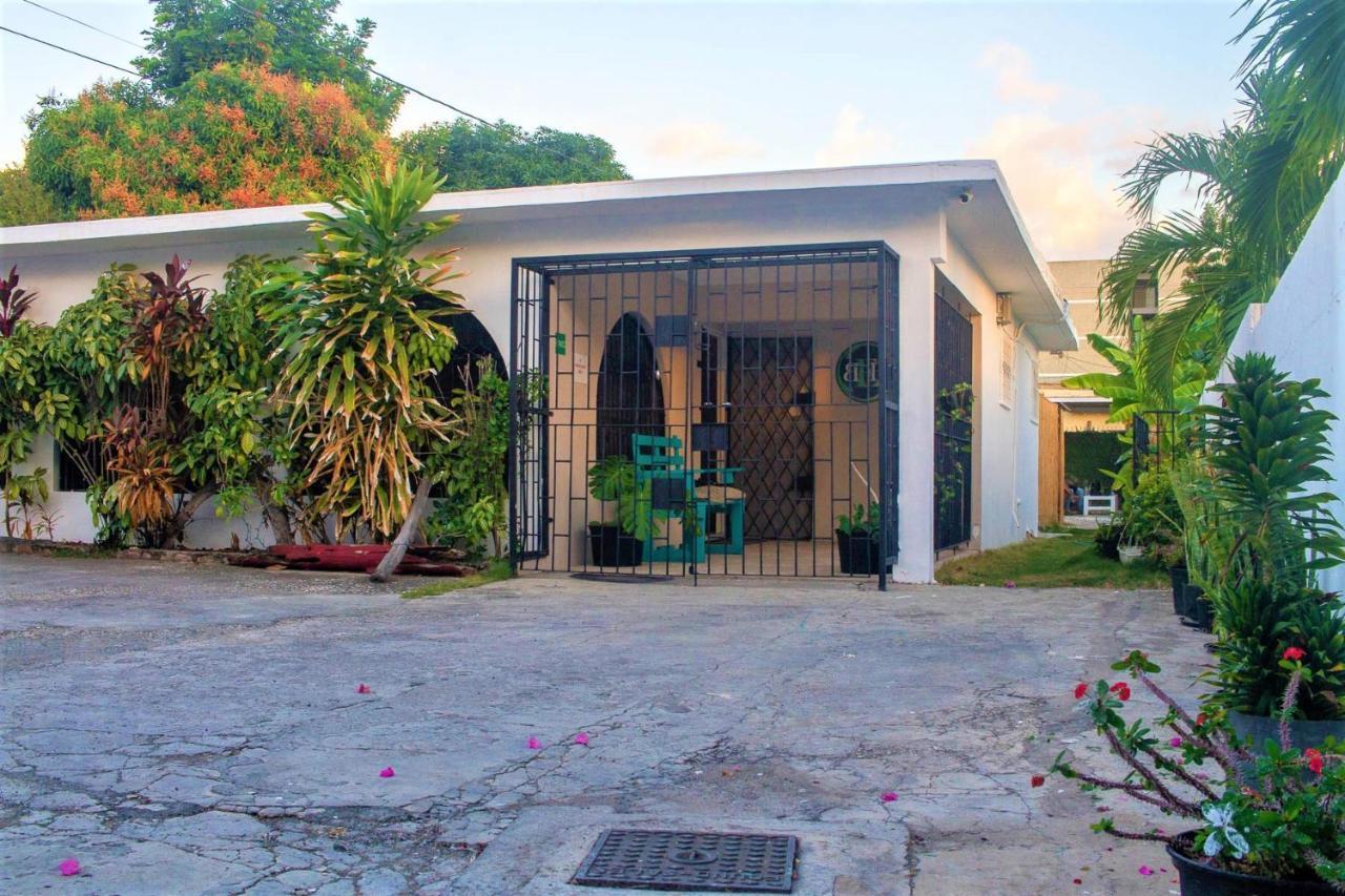 Eventuality B&B New Kingston Exterior photo